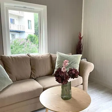 2 Etasje Leilighet Med 2 Soverom Apartment
